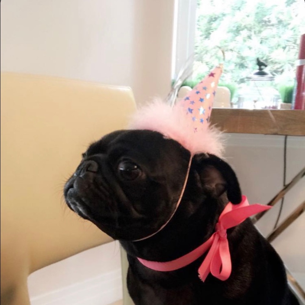 Meet your Posher, Julia